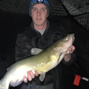 Meet your Posher, Ben